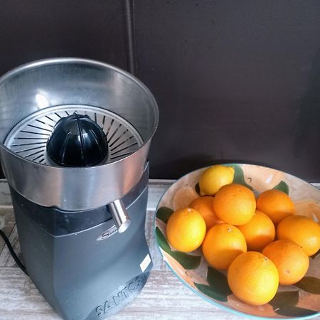 圣特雷登 Kolmojen酒店 外观 照片